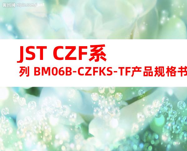 JST CZF系列 BM06B-CZFKS-TF产品规格书